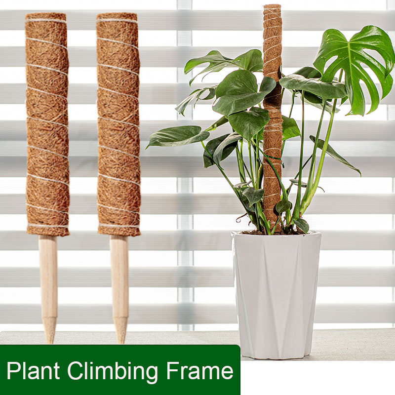 Plant Climbing Frame Vine Coconut Palm Rod Can Be Bent and Shaped Moss Rod Stretching Plants Climbing Poles Plant Growth
