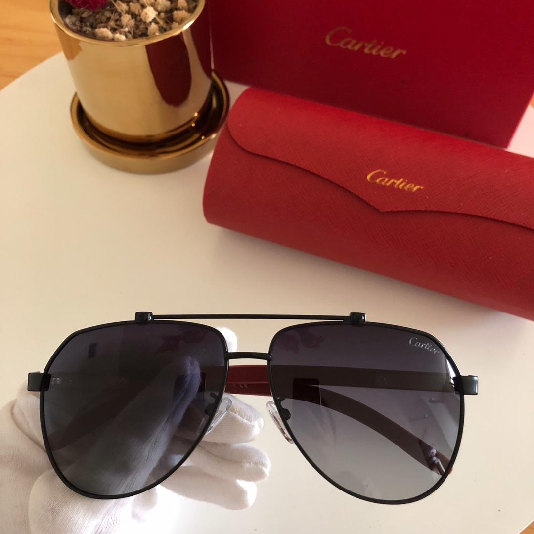 Cartier Men’s Sunglasses ASS650020